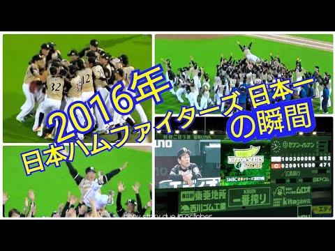 2016.10.29 ファイターズ日本一の瞬間～胴上げ 日本シリーズ第6