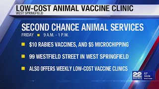 Low-cost vaccine clinic for pets to be held in West Springfield