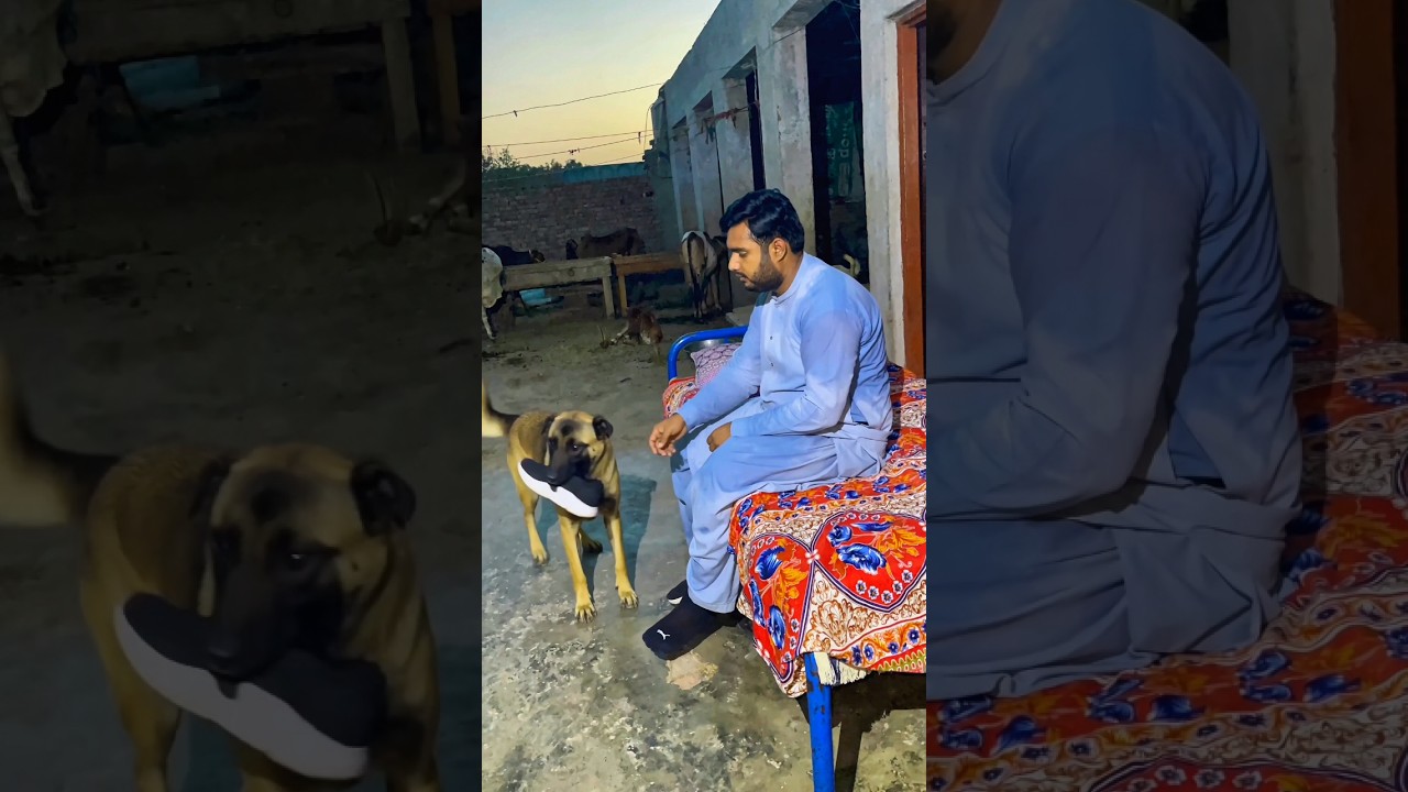 Allah Sent The Dog To Save Him 🥺🐕