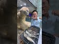動物たちのコミカルな一面 #動物