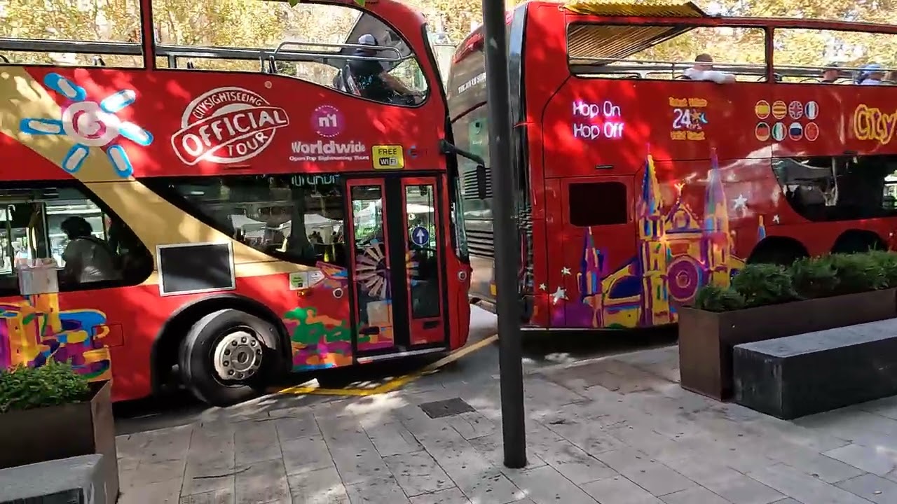 PALMA CATHEDRAL 311025