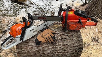 Stihl MS291 vs Echo CS6700 Chainsaws in action #stihl# #Stihl# #echo# #Echo# #vs#