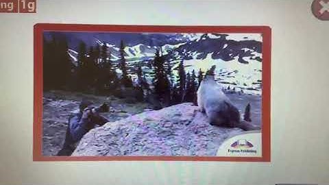 Excel 7. An email describing a hobby