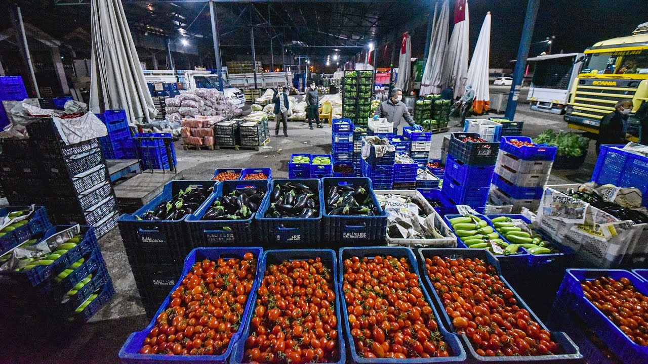 Antalya, 83 milyon için üretiyor