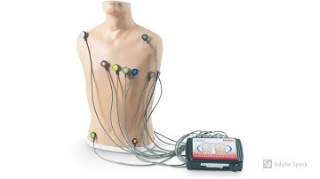 Heather Wheeler- Class of 2020 Capstone Project