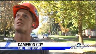 Lessons learned from Windstorm 2015