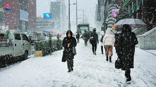 눈 폭탄 쏟아진 강남, 외국인들이 가장 보고파 했던 함박눈 대설주의보. 서울 폭설 2시간, Dec 15, 2022.  서울트래블워커.