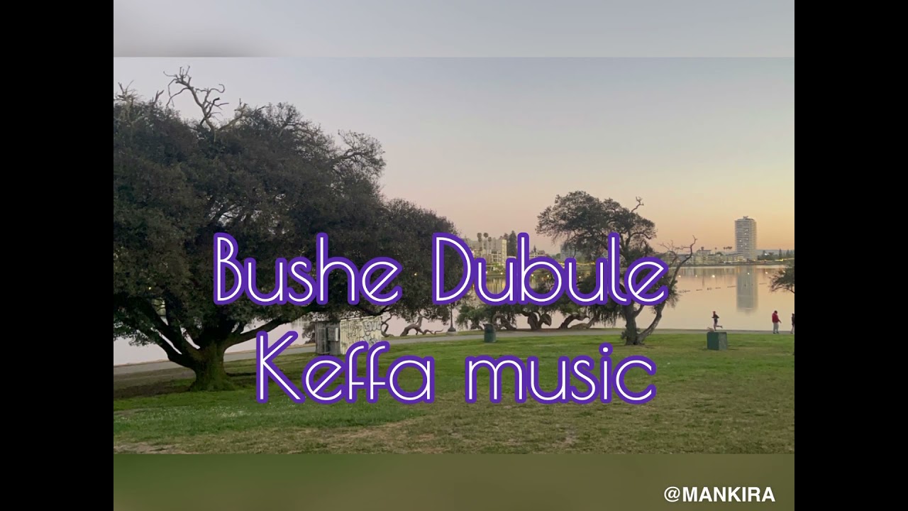 Bushe Dumbule   keffa music