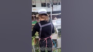 Vegetable Processing: Slicing Celery