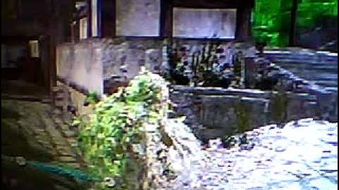 Cod5 Infectable mod menu (10th) FREE