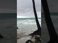 BoracayIslandtoday#shortsvideo #youtubeshorts #shortfeed #shortvideo #boracay