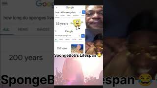 SpongeBob’s Lifespan Is CRAZY 😂💀 #Funny #Comedy #Memes #FunnyShorts #Shorts SpongeBob’s Lifespan Is CRAZY 😂💀 #Funny #Comedy #Memes #FunnyShorts #Shorts