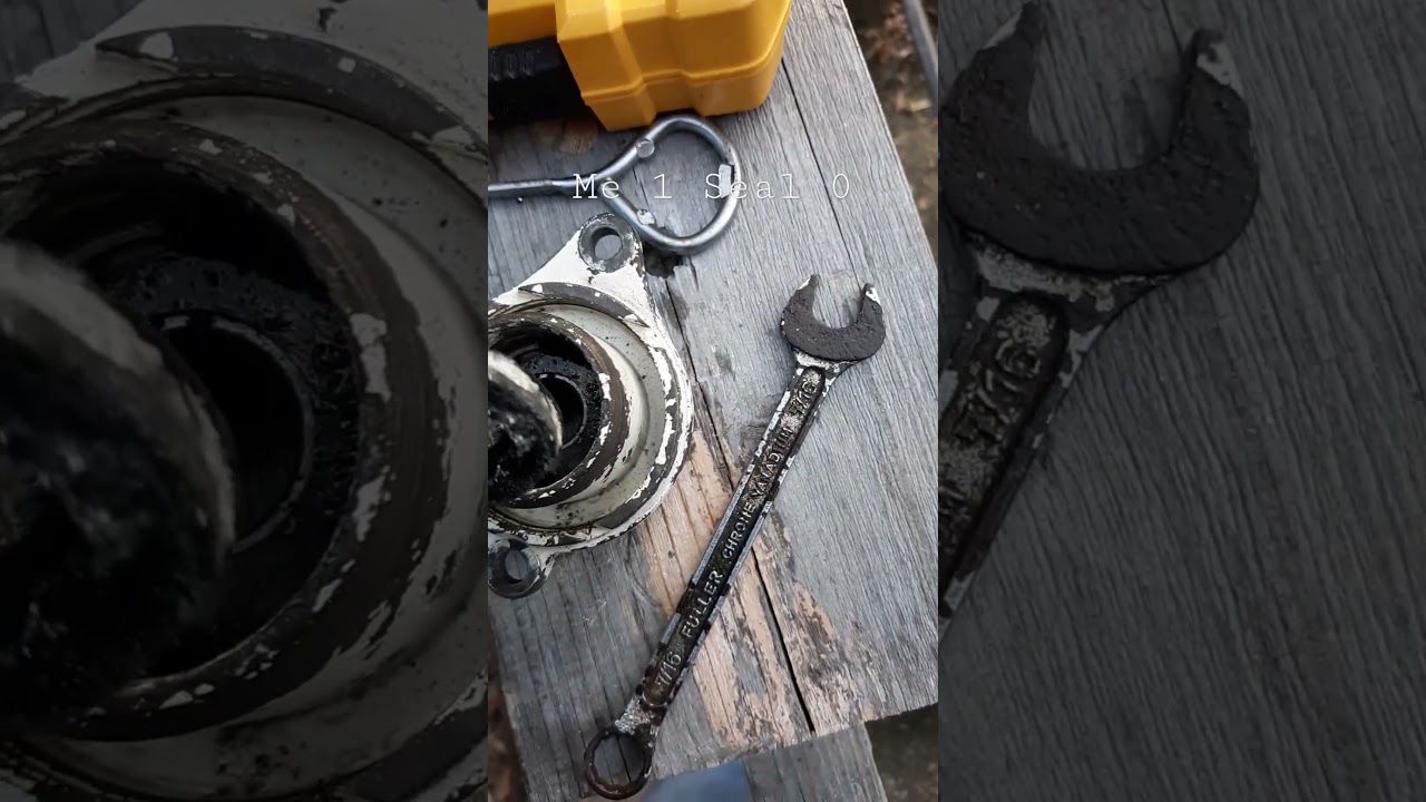 Shaft Seal Removal 
