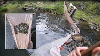 Biologist seine up large school of rare fish