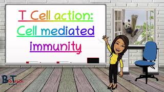 Cell mediated immunity/T cell Action A level Biology - BioTeach