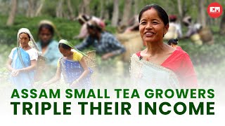 Assam: Why these Karbi women turned from tea pluckers to tea producers