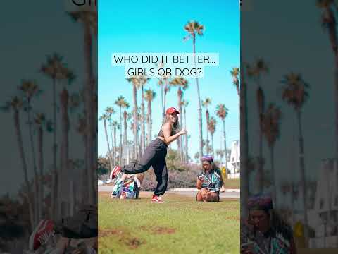 WAIT FOR IT… when your dog always steals the dance show 😅🐶 #sturdy #dancetrend #dancechallenge