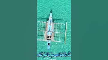 سورة المائدة وكانك تسمعها لأ.و.ل مر.ة 💐. 🌼💝.. 💖. 💚بصوت الشيخ حمزة مد..بو.ح 💖💟.🌹.❣️.. 🌺