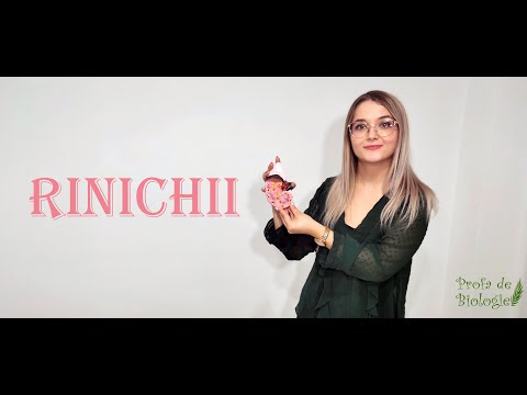 Video: Cum Se înmoaie Rinichii
