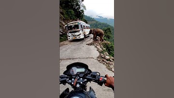 suddenly a elefent attack on bus 😱😱 #elephant #animalattack #shorts⚠️ AI-Generated Content