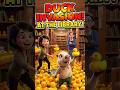 They Fill the Library With Rubber Ducks 🦆😂