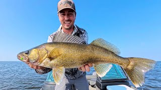 How to Find Walleyes on Lake of the Woods (Best Lake in Minnesota?)