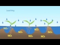 Nitrogen Leaching