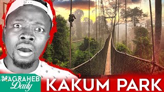 The Scariest Canopy Walk in Africa, Kakum National Park