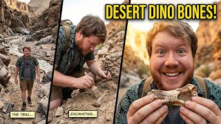 We Found Real Dinosaur Bones Buried in the Desert!