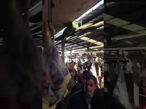 متابعة بش تشوفولجديد سوق السبوعي سوق لحد ولاد جلول