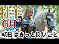 【おひつじ座2026年6月】🌈自分自身に許可を与えることは心を守る正当な防衛策です🌈隠していた才能は想像以上🌈