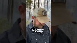 Forest Fires Are A Good Thing!!