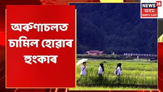 Download lagu Bihali News: অসম চৰকাৰৰ অৱহেলাত ক্ষুণ্ণ Bogijuliৰ ৰাইজ | Assam News