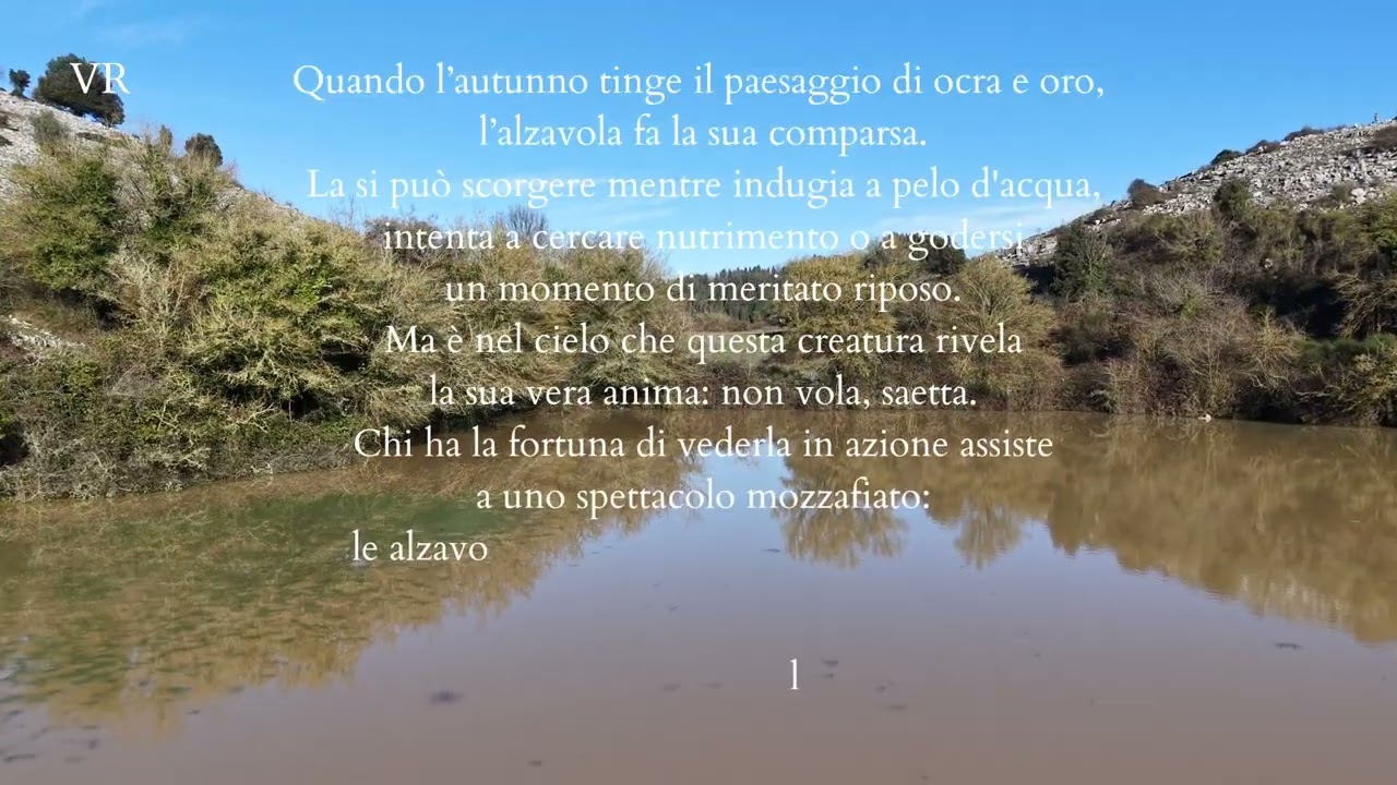 Iopantano il Laghetto di Bassiano Latina Roma Lazio