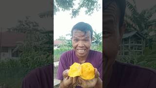 papa tango #shorts #trending #comedy #lucu #subscribe #funny #mukbang #like