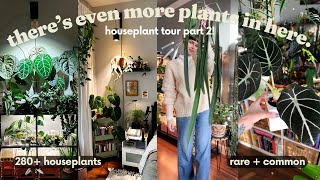 Full Houseplant Tour 2024  280+ plants in my small house! (PART 2)