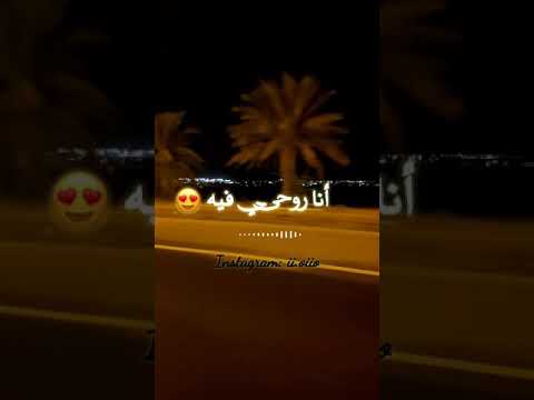 قولني كلام تامر حسني حالات واتس