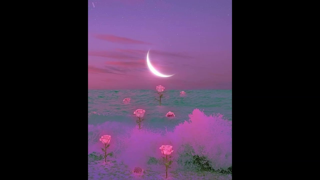 [FREE] ERYKAH BADU X NEO SOUL TYPE BEAT 