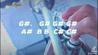 Quiero levantar mis manos - Marcos Witt - Trompeta #alabanzas #adoración #trompeta #ebenezer