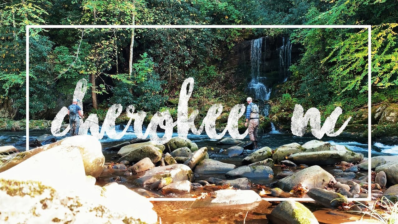 FLY FISHING the TROPHY Waters in CHEROKEE, NC - YouTube Good Buddy Fly Fishing