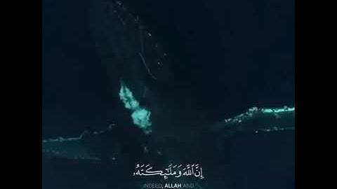 إن الله وملائكته يصلون على النبي | ﷺ | القارئ الطفل/علي عبدالسلام اليوسفي @B_R_5_1