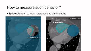 Characterizing Global and Local Model Behavior in Interactive Segmentation