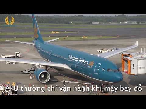 Video: Đặc điểm Của Chuyến Bay Có Trẻ Nhỏ