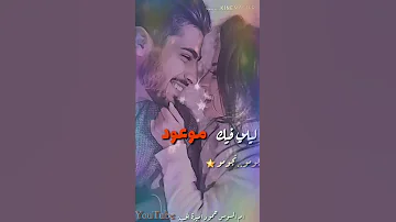 طمن طمن بالك عاصي الحلاني كارول صقر حالات واتس 