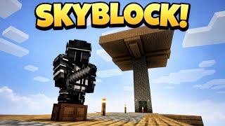 I Built the BEST XP Farm in Skyblock