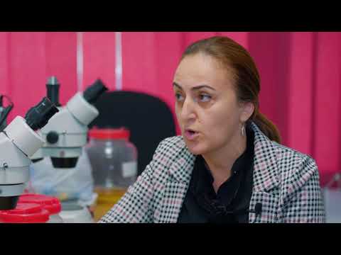 ზოოლოგიის ინსტიტუტი