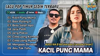 KACIL PUNG PAPA - Alice Sia | BALE PULANG II | BETA SALAH APA || LAGU POP TIMUR TERPOPULER 2025