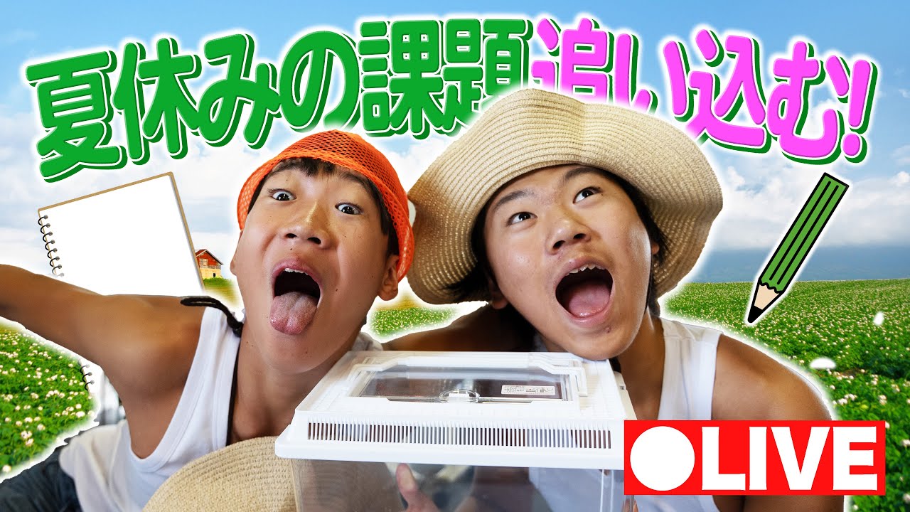 ライブ】夏休みの課題が終わらないからみんなと一緒に追い込もう