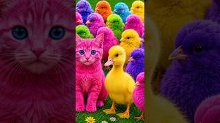 Tangkap Ayam Lucu, ayam warna warni, ayam rainbow, kelinci lucu, bebek lucu, ikan koi, Hewan Lucu