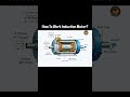 How To Work Induction Motor? #inductionmotor #electrician #allrounder_electrician #tools #electrical